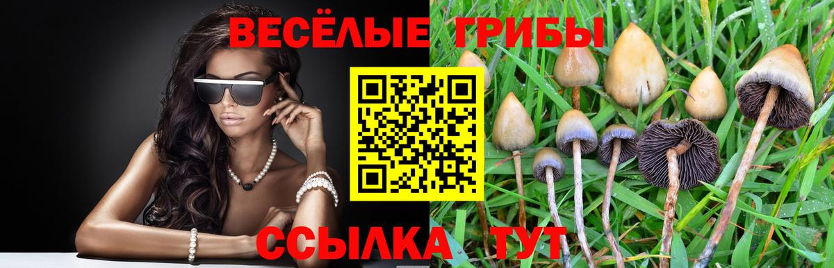 купить закладку  Псилоцибиновые грибы Psilocybe  Вход с VPN  Реж  Псилоцибиновые грибы Psilocybe 